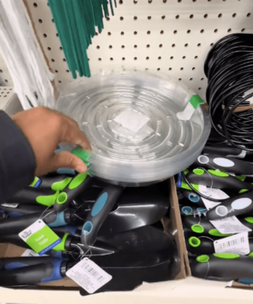 still from TikTok video showing new Dollar Tree plant saucers