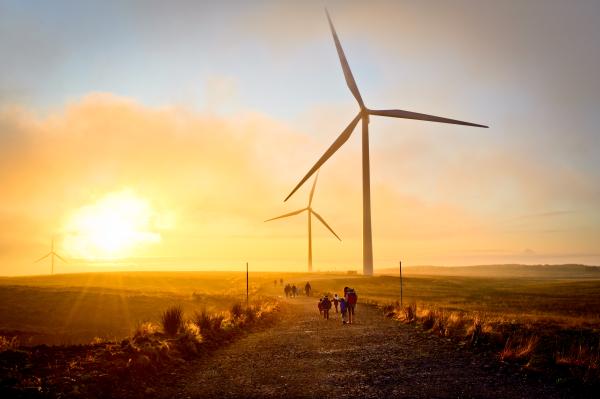 By 2050, about half of global energy production is expected to come from renewable sources such as wind and solar power