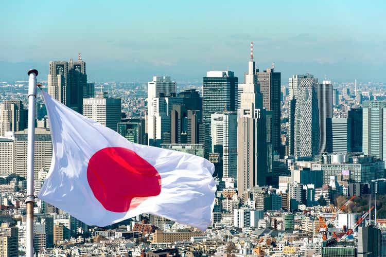 Panoramic view of Tokyo and Japanese flag, Japan