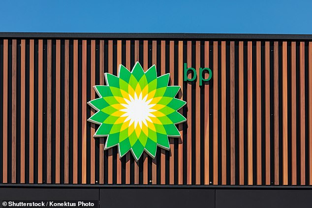 BP ended 2024 as the FTSE All-Share's sixth largest company by market capitalisation