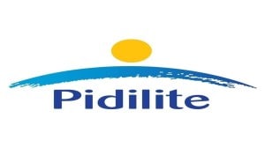 Pidilite, paints, industry, Berger Paints, JSW Paints, Indigo Paints, Akzo Nobel NV