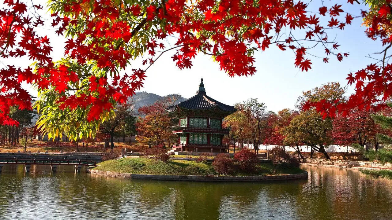 Transit passengers at South Korea39s Incheon International Airport can also explore the Seoul metropolitan area Transit passengers at South Korea39s Incheon International Airport can also explore the Seoul metropolitan area
