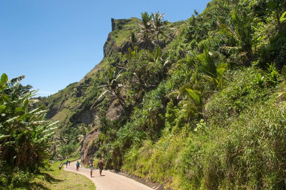 People walking on a path through a tropical forest.