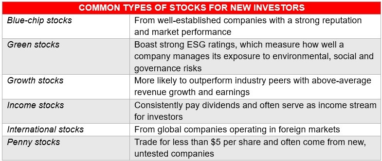 Table listing the common types of stocks for new investors 