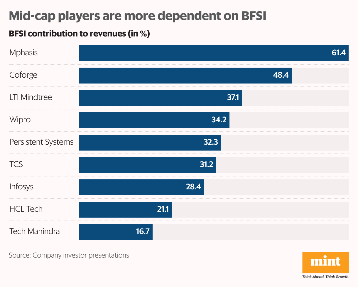 Mid-cap players are more dependent on BFSI (Bar Chart)