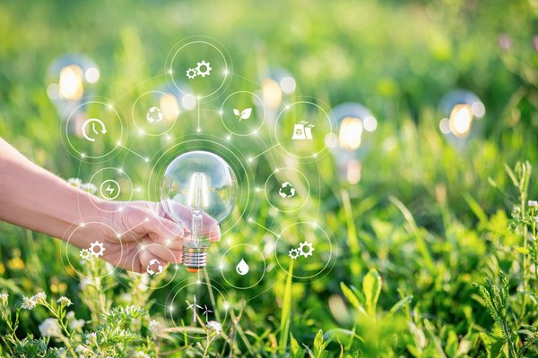 holding a light bulb surrounded by green energy symbols.