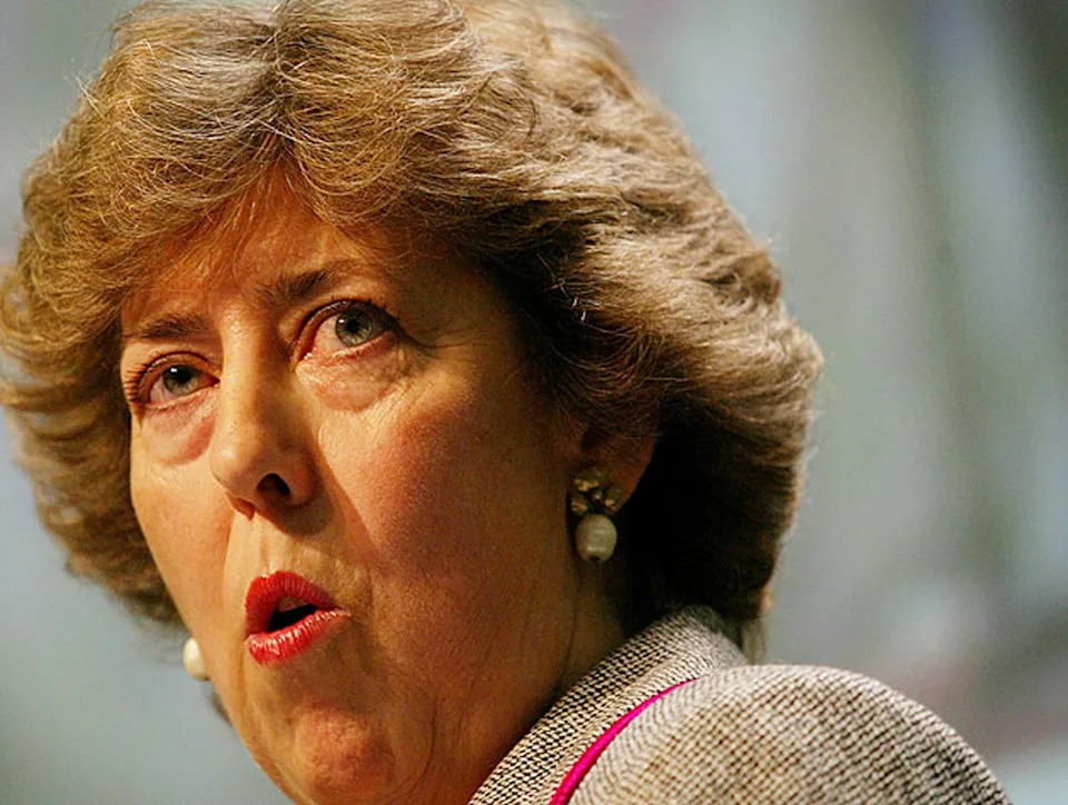 Baroness Manningham-Buller said US and UK withdrawal made space for “your friendly Chinese diplomat” (Reuters)