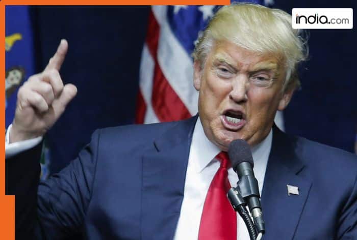 Amid Trump's USD 100,000 H1-B visa fee move, THIS is the largest company using H-1B visa, TCS is at second position; Infosys Wipro ranks... top 10 list includes...