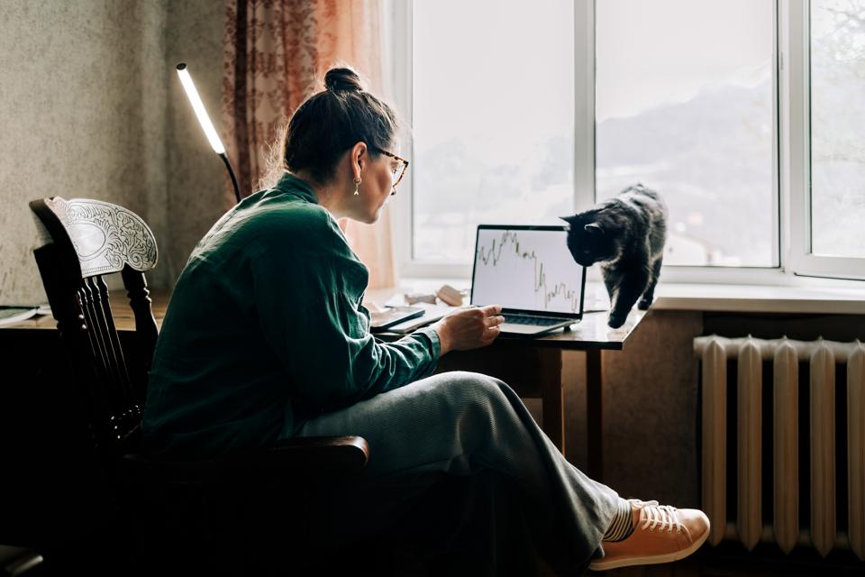 Woman working from home with candlestick chart on laptop and cat