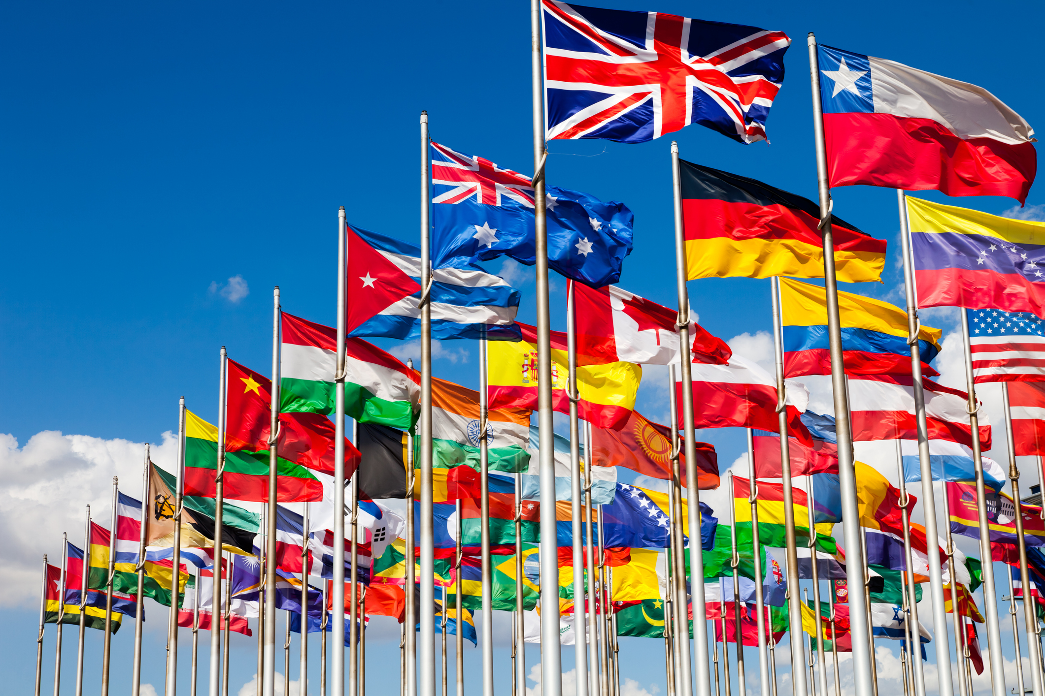 Dozens of different national flags are shown.