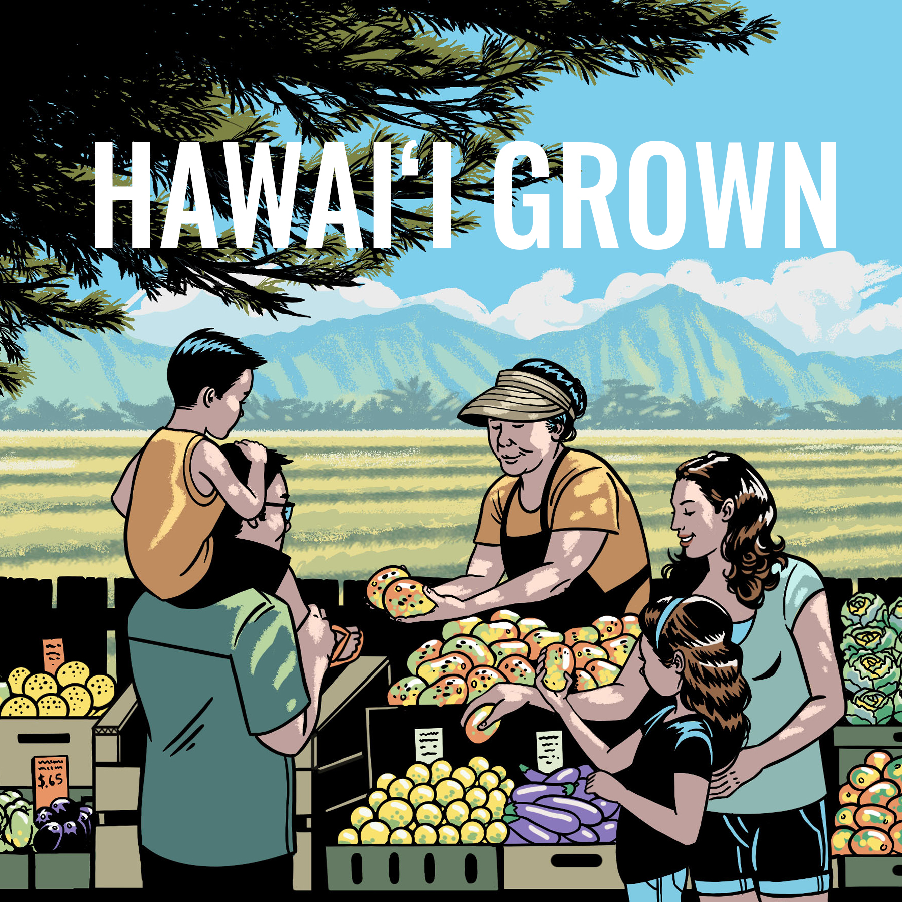 Text graphic with headline: Hawaiʻi Grown