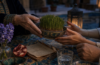 Older hands pass a ceramic bowl of sprouting wheat to younger hands across a richly tiled table.