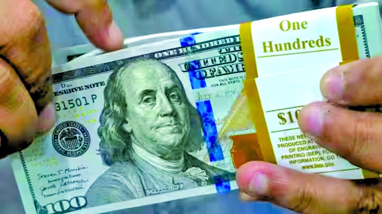 BRICS Leaders Most Likely to Talk About Alternative Currency to US Dollar